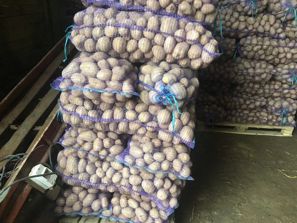 картофель в Иванове