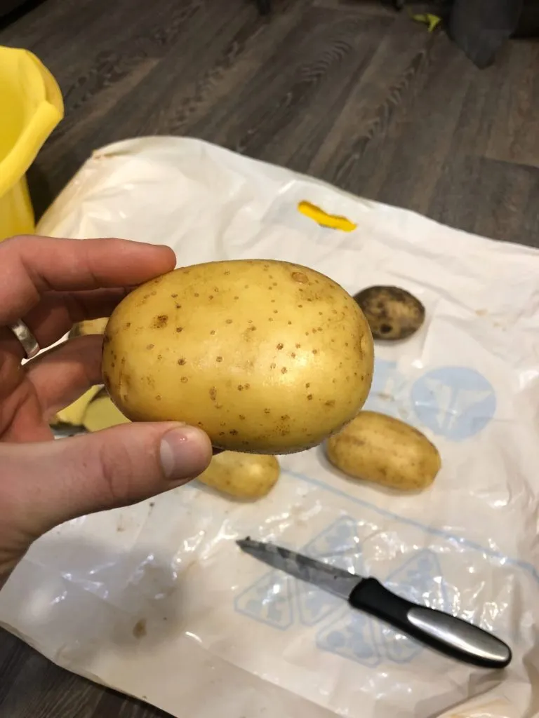 картофель семенной  в Иванове 2