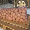 картофель урожай 2018 года  в Иванове 2