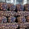 картофель урожай 2018 года  в Иванове